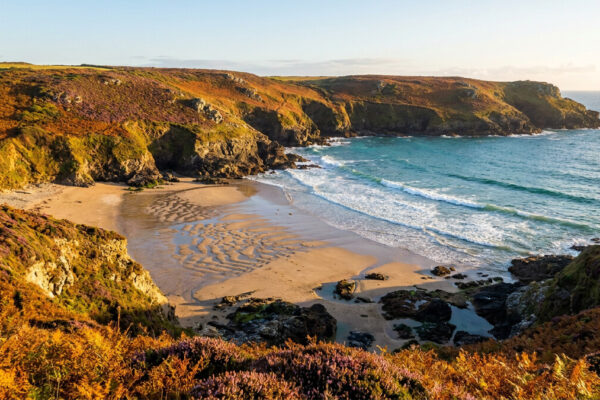 A deserted sandy cove on the British coast in autumn sunlight, with bracken-covered cliffs and turquoise sea.